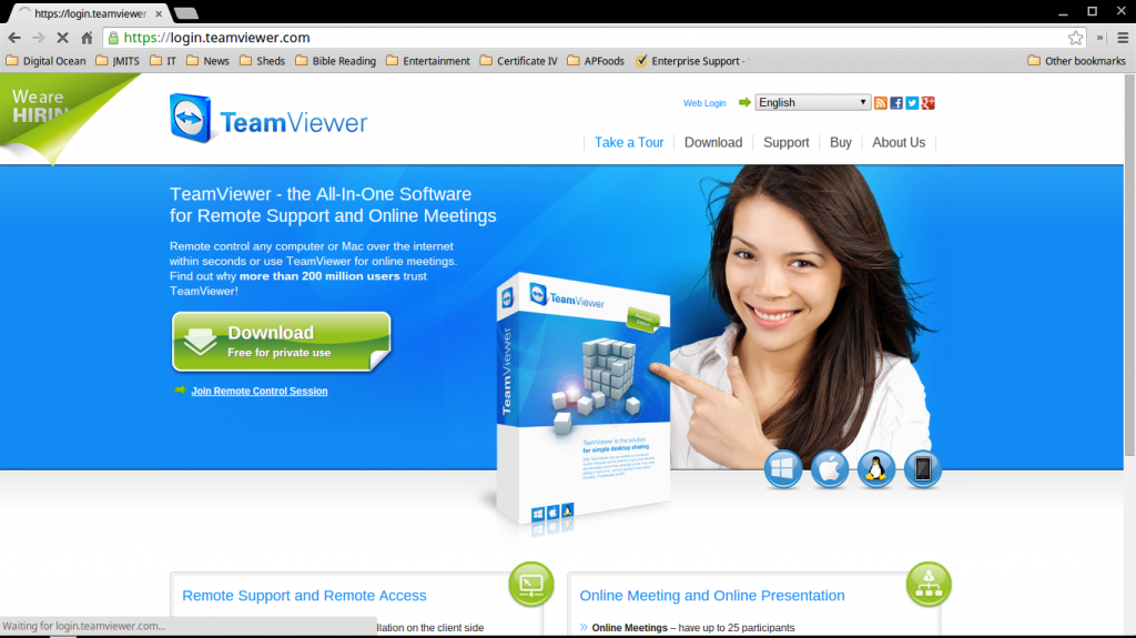 how to start teamviewer before login