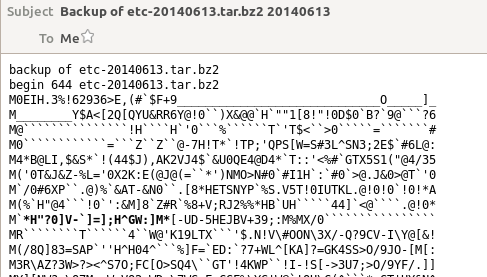 displayed_as_encoded_text_not_attachment