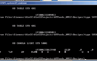 C struct written to file loses settings